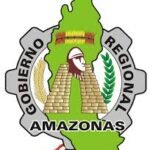 descarga