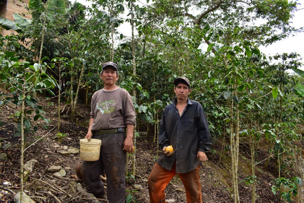 🌱Agricultura sostenible