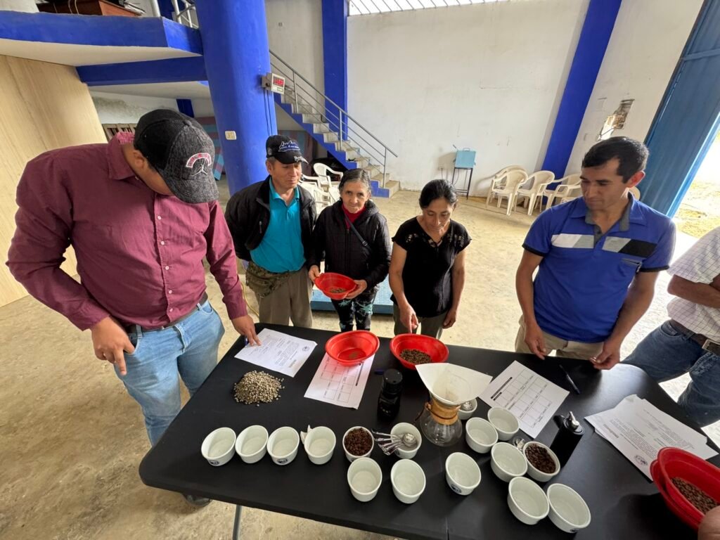 ☕ Café y calidad